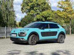 C4 Cactus