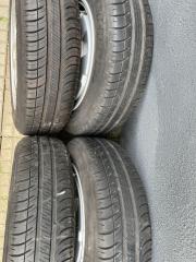 IMG_1259.jpeg