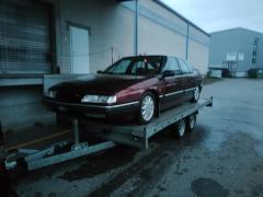 IMG_20230416_064047.jpg