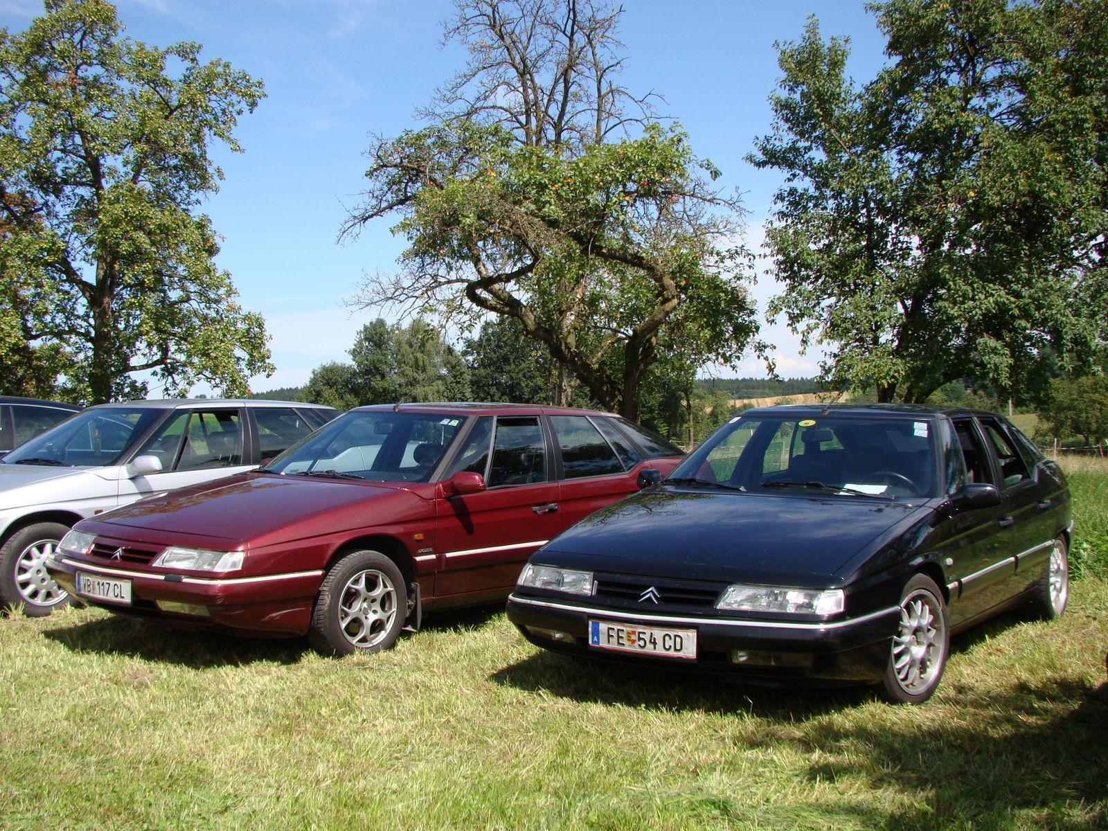 DSC03549.JPG.abb561ef8b98c4acb9c184286e66081a.JPG