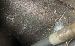 IMG_1342.jpeg