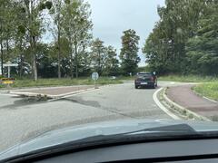 IMG_3565.jpeg