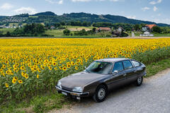 Citroën CX 2400 GTi vor dem Sonnenblumenfeld