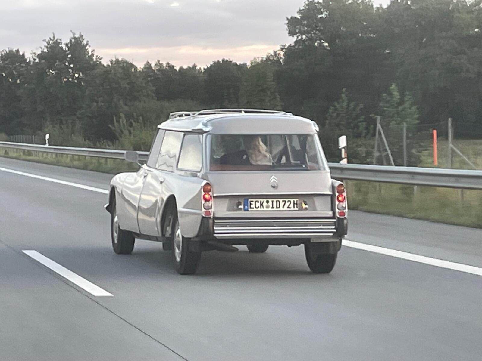 IMG_3880.jpeg.ae92186f04c75aa6333fb8821a22ffba.jpeg
