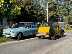 Ami6 und 2CV6 Charleston in Gronau.JPG