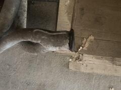 IMG_2530.jpeg
