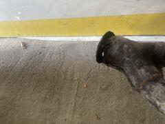IMG_2536.jpeg