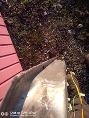 IMG_20240212_164351.jpg