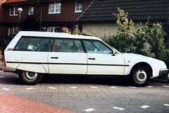 IMG_7223.jpeg