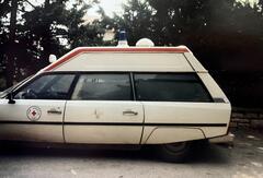 IMG_7234.jpeg
