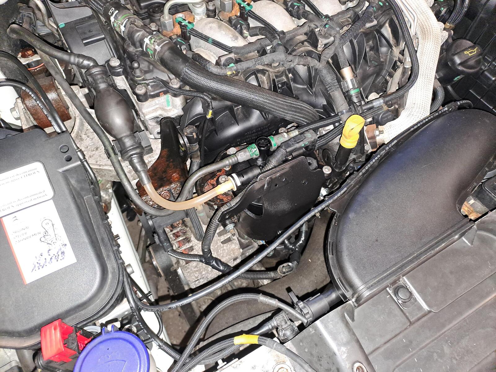 large.20240612_194144.jpg.23a36dc872571d25e41a2c9e87e6b9f5.jpg