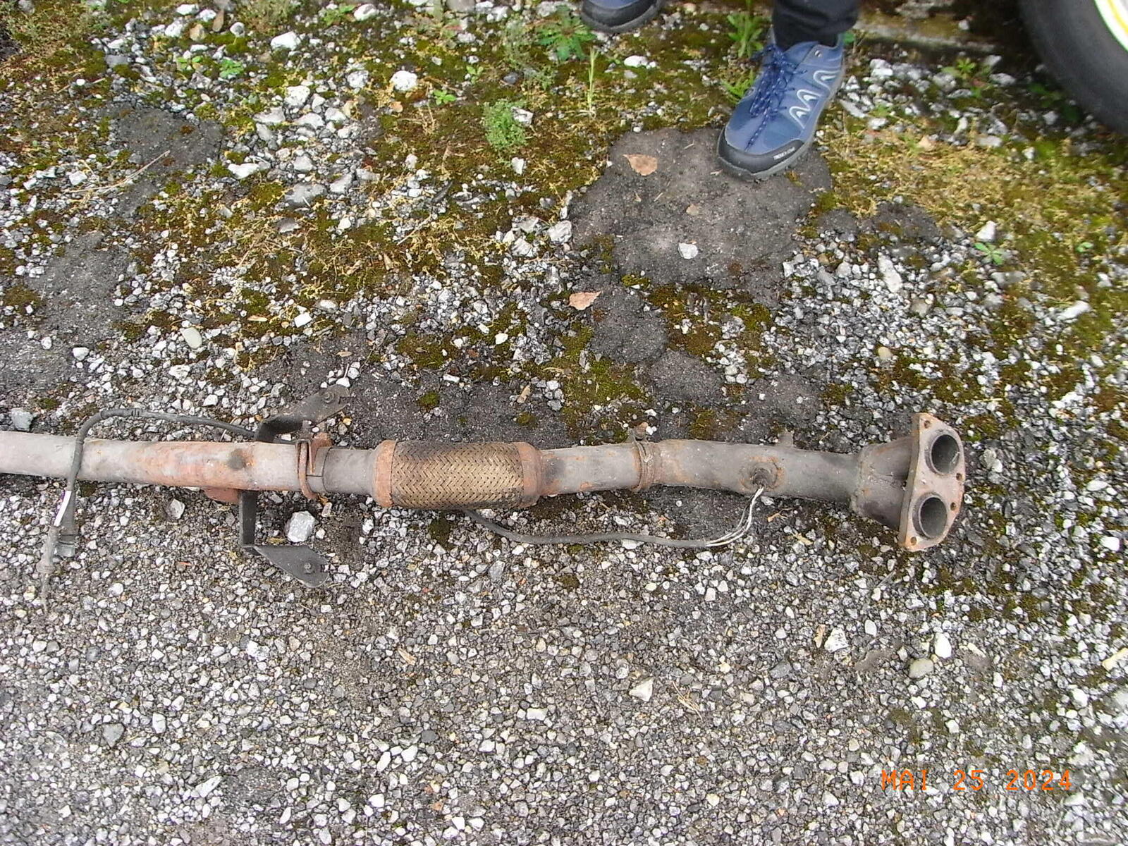 large.RIMG0956.JPG.71c8a82d710a35386dfee39f08e3fb5b.JPG