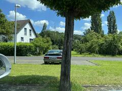 IMG_0003.jpeg