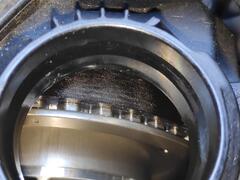 IMG_20240627_165246.jpg