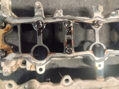 IMG_20240731_130230.jpg