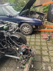 IMG_3499.jpeg