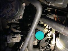 IMG_1977.jpeg