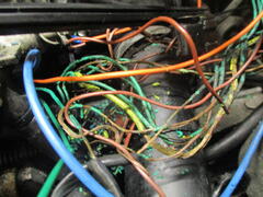IMG_2512.JPG