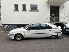 IMG_4101.jpeg