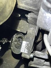 IMG_2816.jpeg