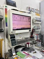IMG_4486.jpeg