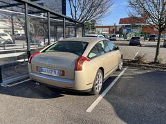 IMG_4489.jpeg