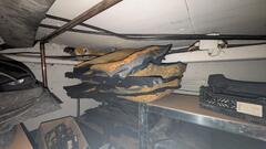 PXL_20250118_162825883.RAW-01.COVER.jpg