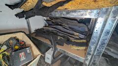 PXL_20250118_162902736.RAW-01.COVER.jpg