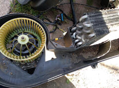 IMG-20231006-115513.jpg