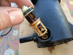 IMG-20240203-121029.jpg