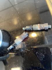 IMG_1271.jpeg