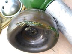 IMG_20230829_182530.jpg