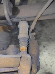 IMG_20250128_170517.jpg