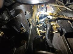 IMG_20250205_075737.jpg