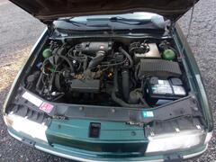IMG_20241228_145618_681.jpg