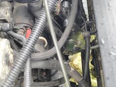 IMG_20250311_165340412.jpg