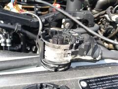 IMG_20250315_104726.jpg