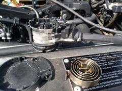 IMG_20250315_104736.jpg