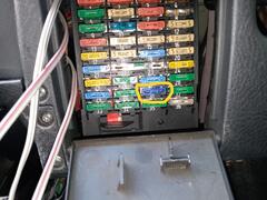 IMG_20250315_111148.jpg