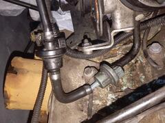 IMG_20250327_161926.jpg