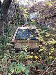 IMG_2513.jpeg