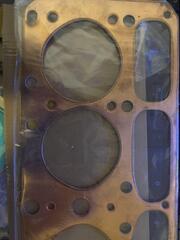 IMG_3764.jpeg