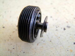 IMG_6337.jpeg