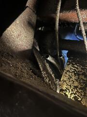 IMG_6615.jpeg
