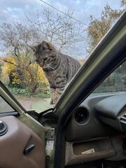 IMG_6710.jpeg