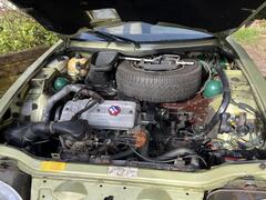 IMG_6725.jpeg