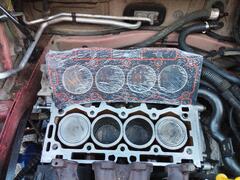 IMG_TH_20250225_105756.jpg