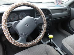 DSCF8666.JPG