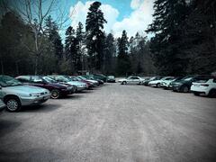 IMG_1226.jpeg