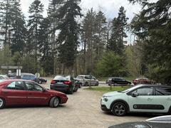 IMG_1250.jpeg
